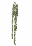 Seneciohanger 70 cm groen